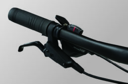 ジャイアント　STP