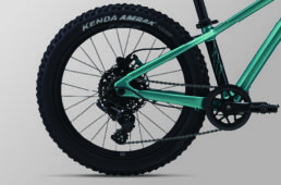 ジャイアント　STP