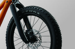 ジャイアント　STP