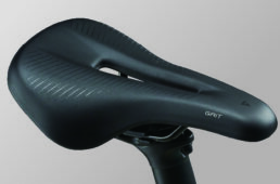 ジャイアント　STP