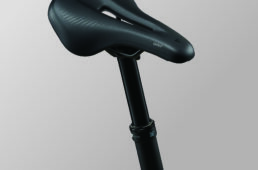 ジャイアント　STP