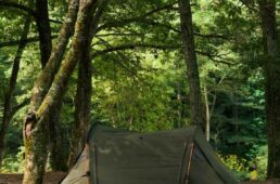 八重洲出版趣味人大放出感謝祭