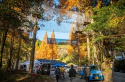 ダウンヒルシリーズ2025 第9戦 吉野ヶ里