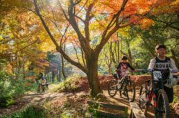 ダウンヒルシリーズ2025 第9戦 吉野ヶ里