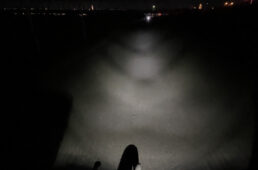 マクロシュタフトゾー500プラスフロントの配光