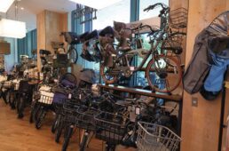 シティタイプのeバイク