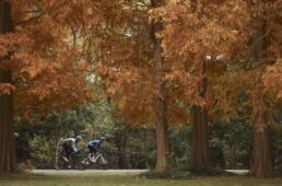 吉本特別編集長と安井さん