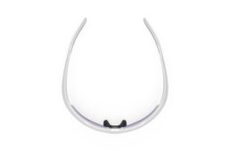 ルディプロジェクト・シダス