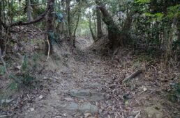 誓願寺庵に通じる唯一の道