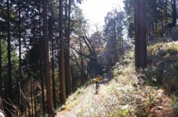 丹沢アウトドアオープンゲート