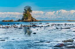 ジャイアント 富山守山サイクリングツアー