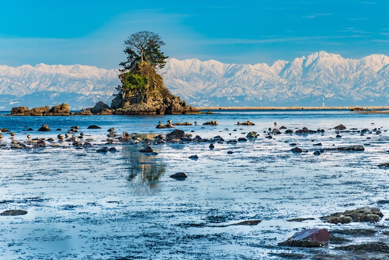 ジャイアント 富山守山サイクリングツアー