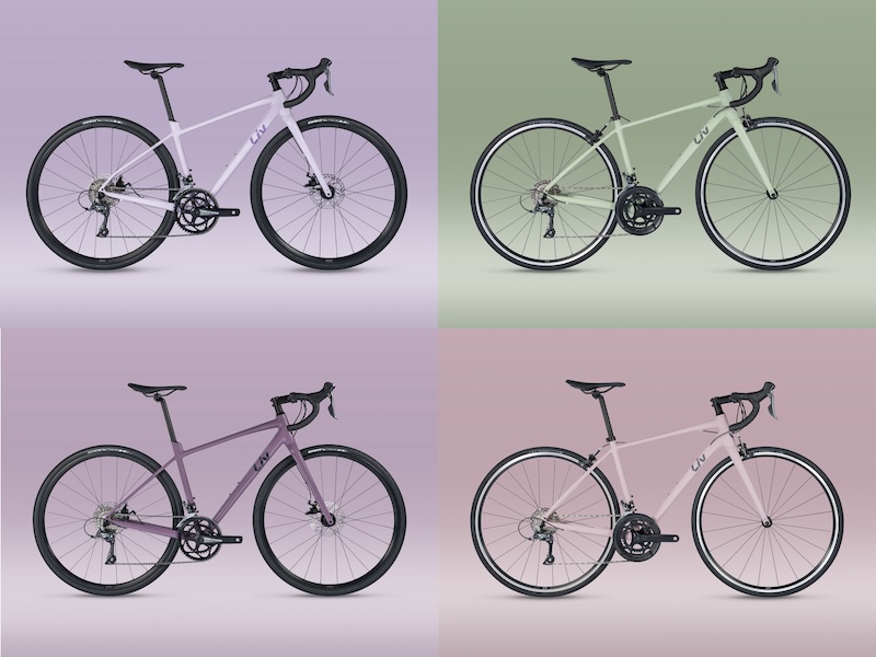 リブ・アヴェイル　特別カラー