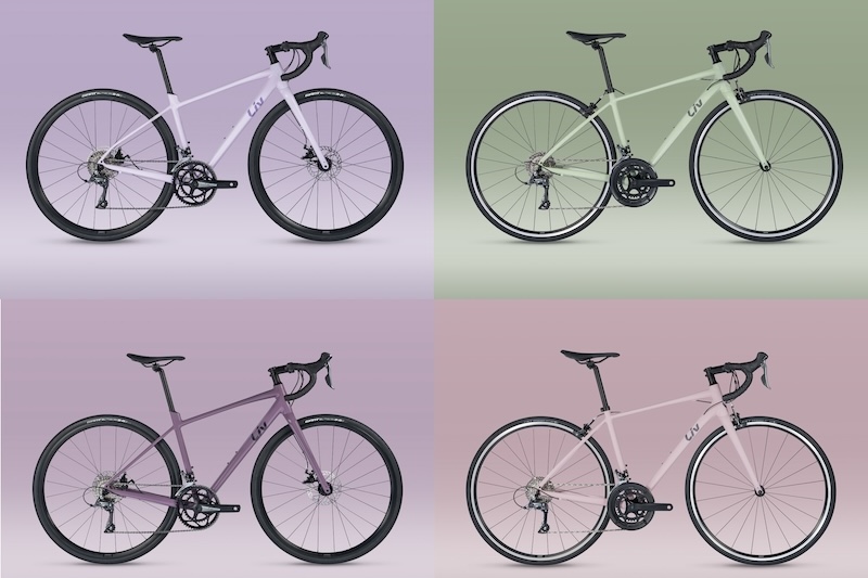 リブ・アヴェイル　特別カラー