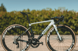 スコット・ポップアップラリー 2026.1