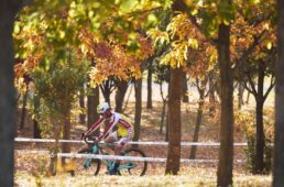 2026年3月号見どころ紹介