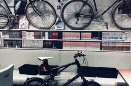 断捨離前のズノウなど