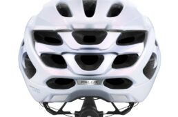 カブト・ファルクス