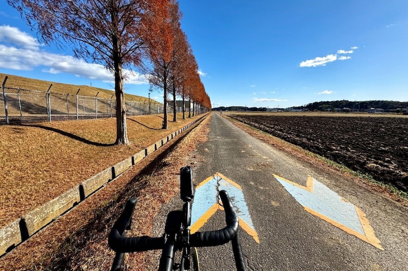 自転車協会 しくじりサイクリスト