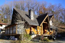 オレンジツリー