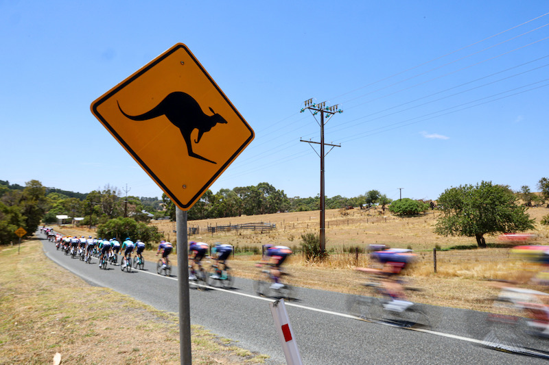 Santos Tour Down Under 2026