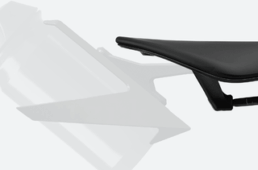 フィジーク　アリオネ