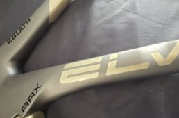 エルヴス・イグラス ARX