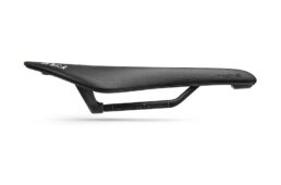 フィジーク　アリオネ