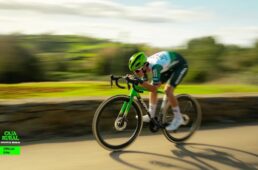 MMR 新アドレナリン SL