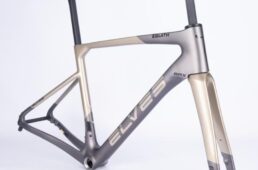 エルヴス・イグラス ARX