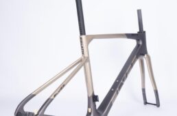 エルヴス・イグラス ARX