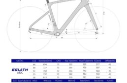 エルヴス・イグラス ARX