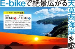 宮本輪業「スペシャライズド VADO SL」