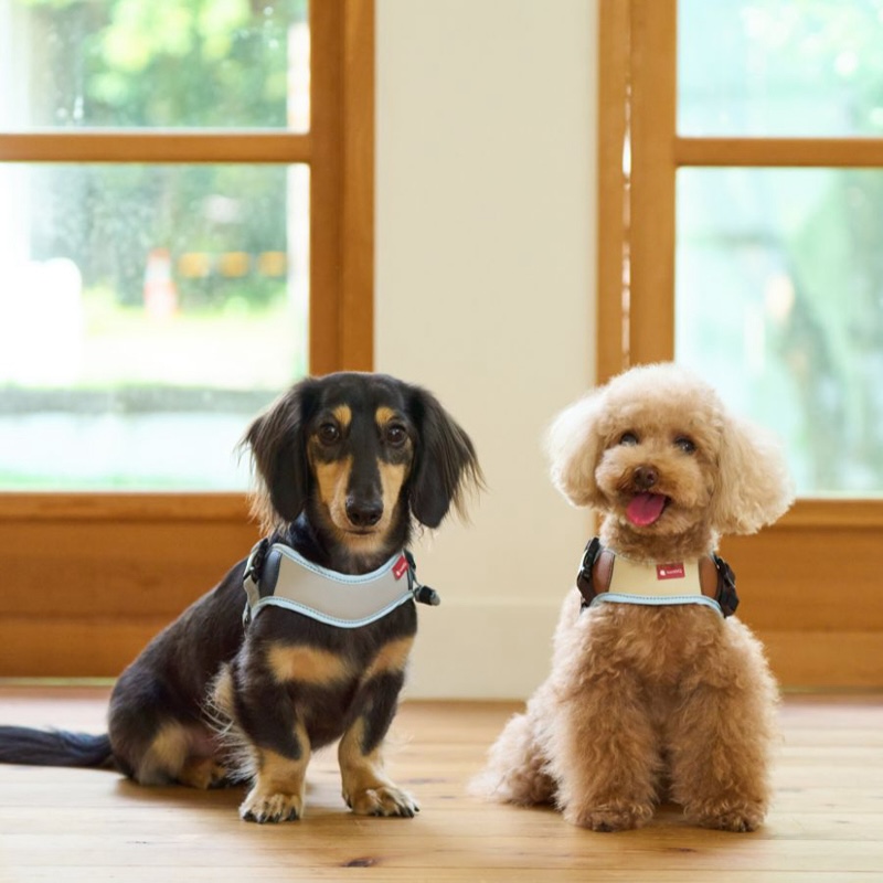 イージーフィットハーネス