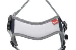 イージーフィットハーネス