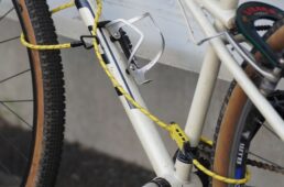 クウハク　ブナ