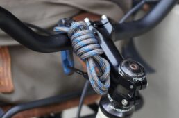 クウハク　ブナ