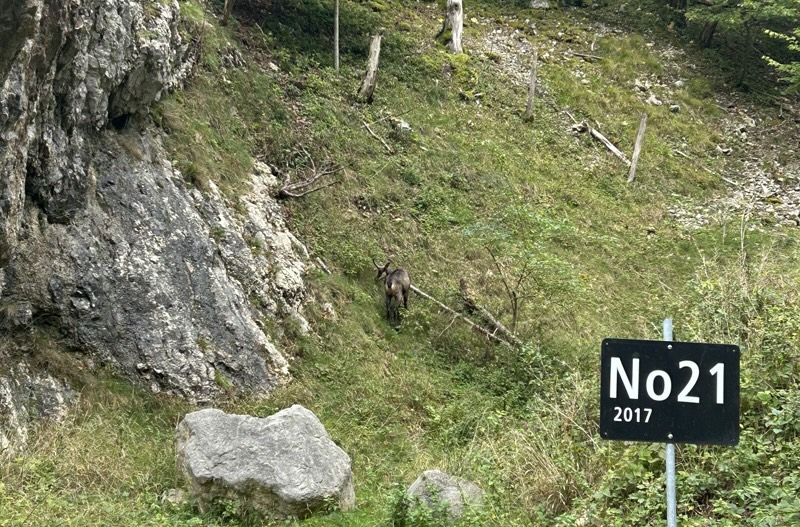 アルプス山脈にて