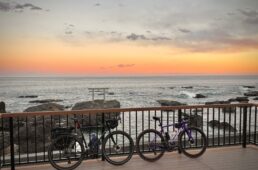 自転車協会　MTBのポイント