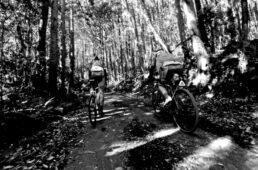 ヒートキャラバン2026　