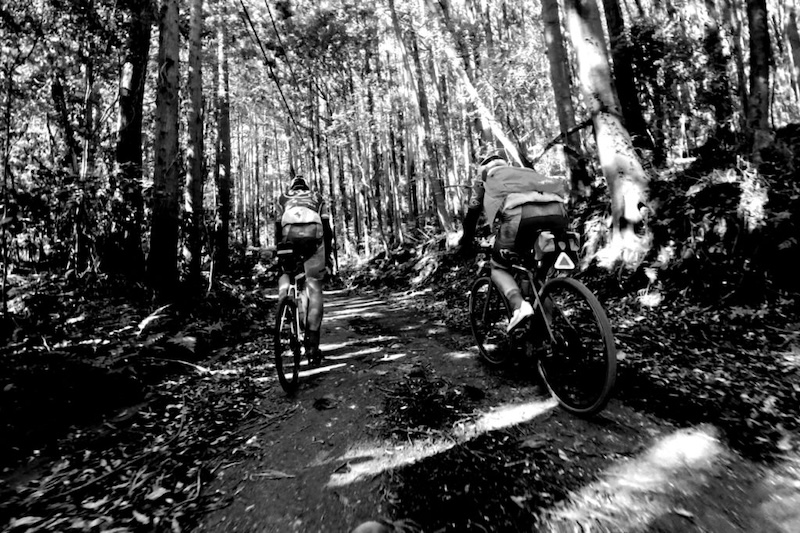 ヒートキャラバン2026