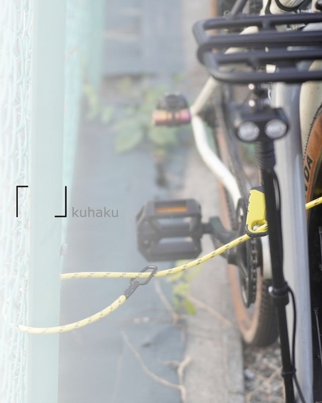 クウハク　ブナ