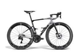 エルヴス・イグラス ARX