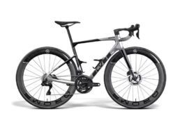 エルヴス・イグラス ARX