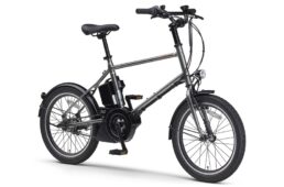 パス クレイグ アリー