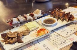 豚の胃袋一夜干し、呉餃子、ネギ紅しょうが焼き、がんすなど