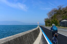 新たに舗装された道