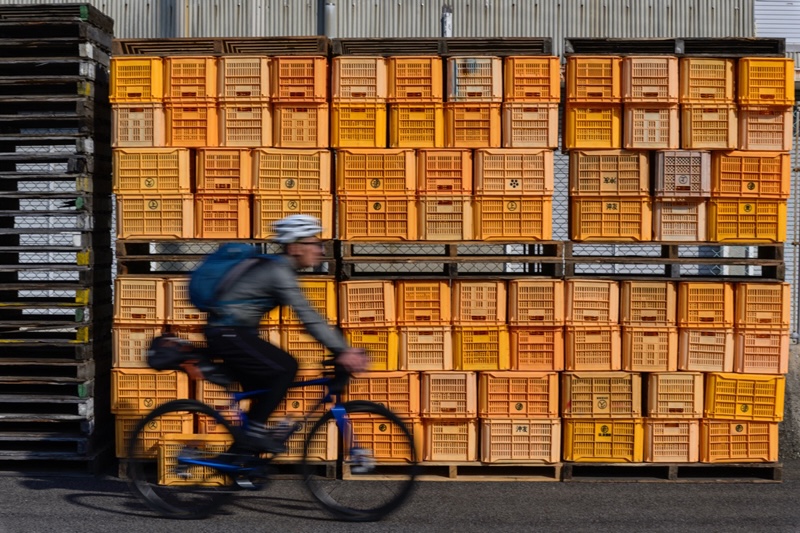 みかんの生産者の工場