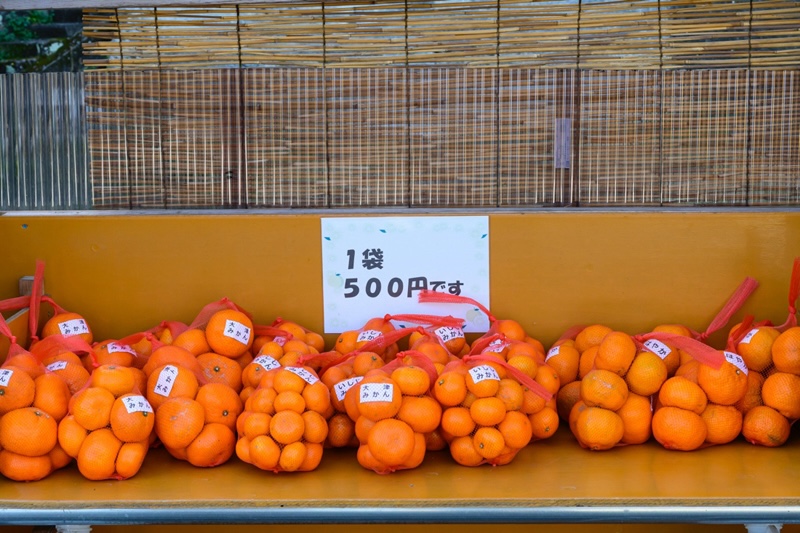 無人販売所のみかん