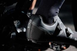 フィジーク　リラ